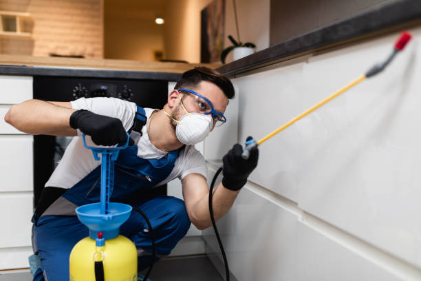 Best Residential Pest Control  in South Daytona, FL