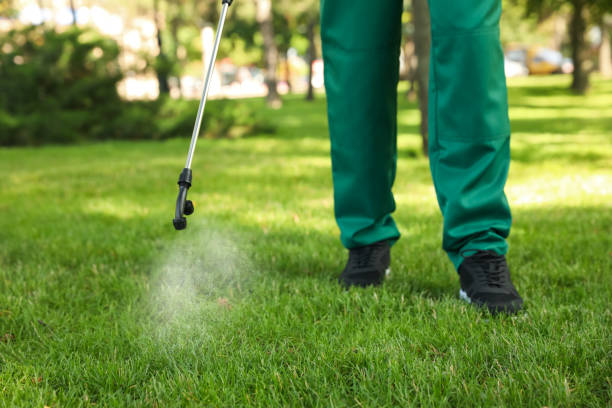 Wasp Removal Services in South Daytona, FL