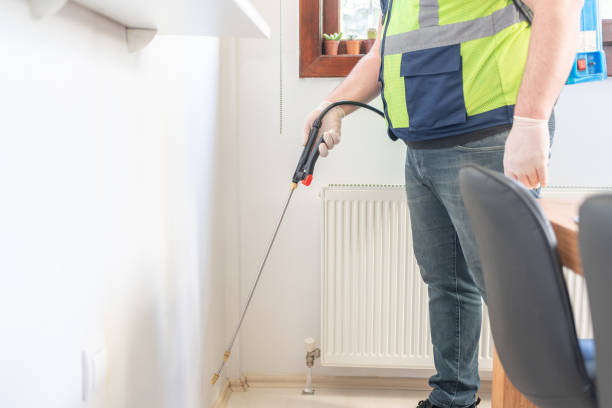 Best Flea Control Services  in South Daytona, FL