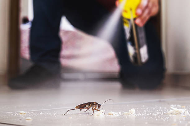 Best Best Pest Control Companies  in South Daytona, FL