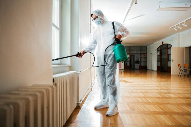 Trusted South Daytona, FL Pest Control Experts